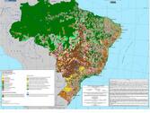 IBGE disponibiliza novos Mapas da Cobertura e Uso da Terra do Brasil, RS e AM